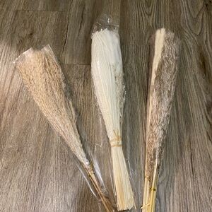 Decorative Pampas Grass Bundle
